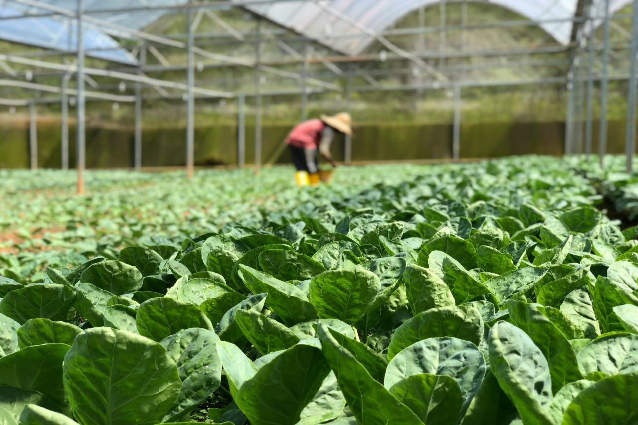 sustainable supply chains Sustainable Supply Chains