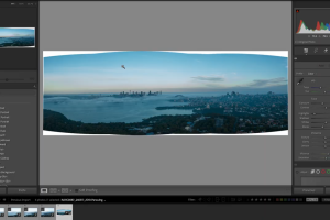 Landscape editing