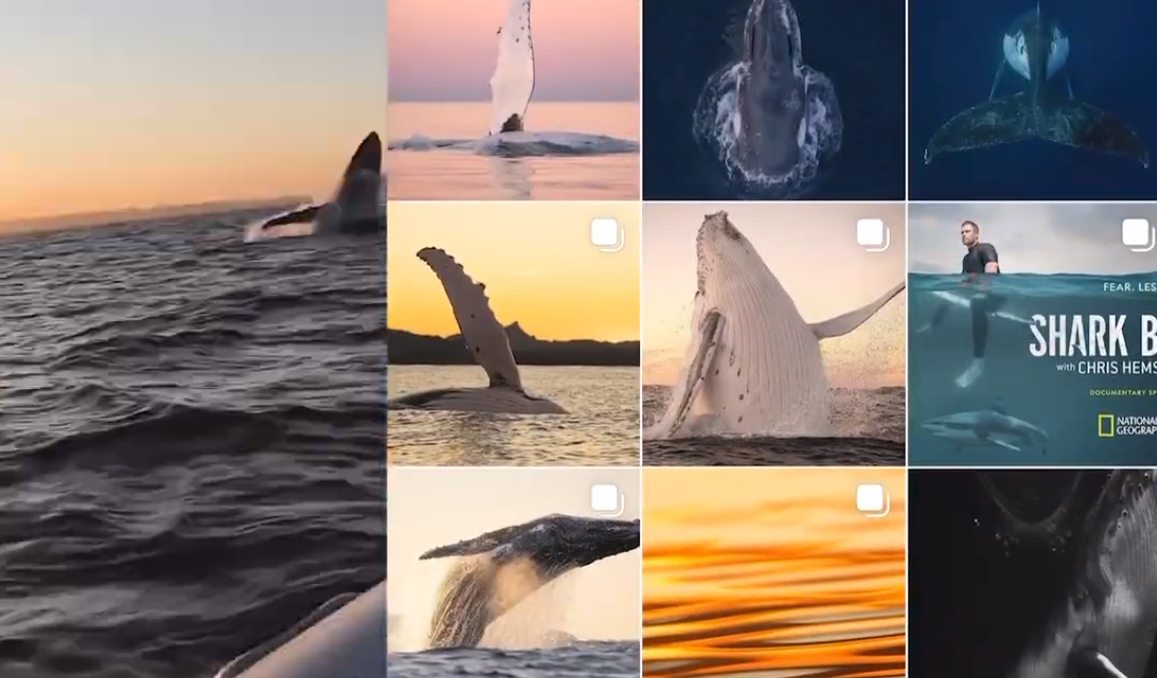 Social_Media.webp SOCIAL MEDIA - Small Insights, Big Progress