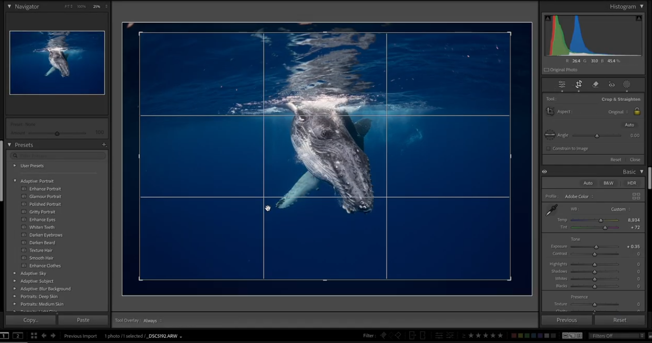 Whale_Editing.webp Whale Editing