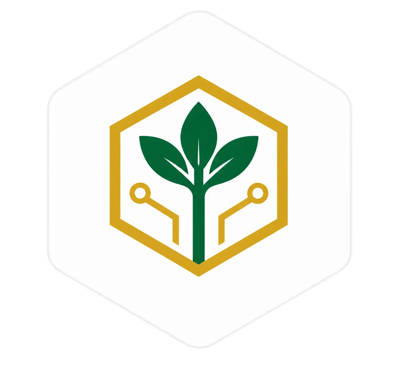 Sarder Foundation